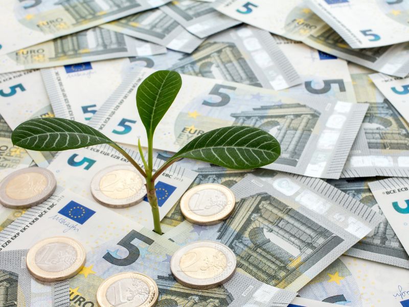 bezzwrotne dotacje unijne: bankoty euro, po środku roślina