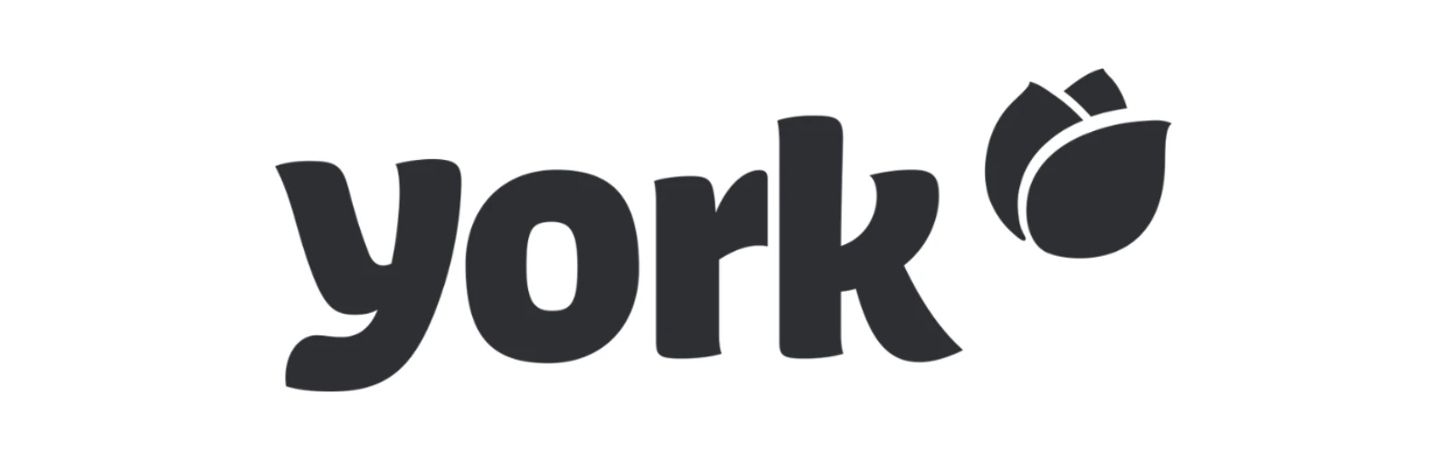 logo york