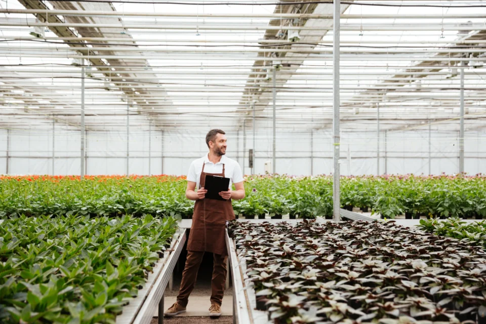 AGROSTRATEG – dotacja od 1 do 25 mln zł na innowacje w rolnictwie młody mężczyzna w szklarni