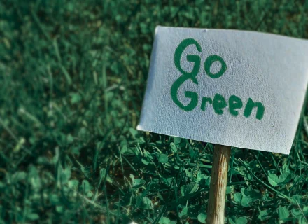 tabliczka z napisem go green na zielonej trawie